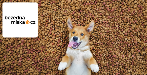 Bezedná miska vyměnila TV za YouTube a zvýšila své povědomí o 46 %