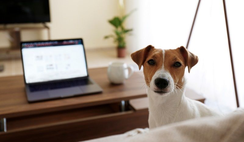 I Seznam kráčí kupředu aneb Co nového nám pro letošek připravili v Skliku?