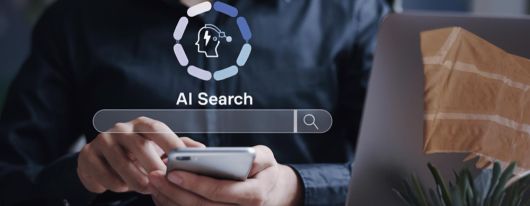 Ako dostať webovú stránku do AI. Odporúčania od Effectix