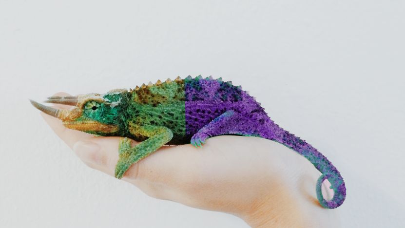 Jak ovlivňuje změna atribučního okna výsledky zobrazené v Business Manageru