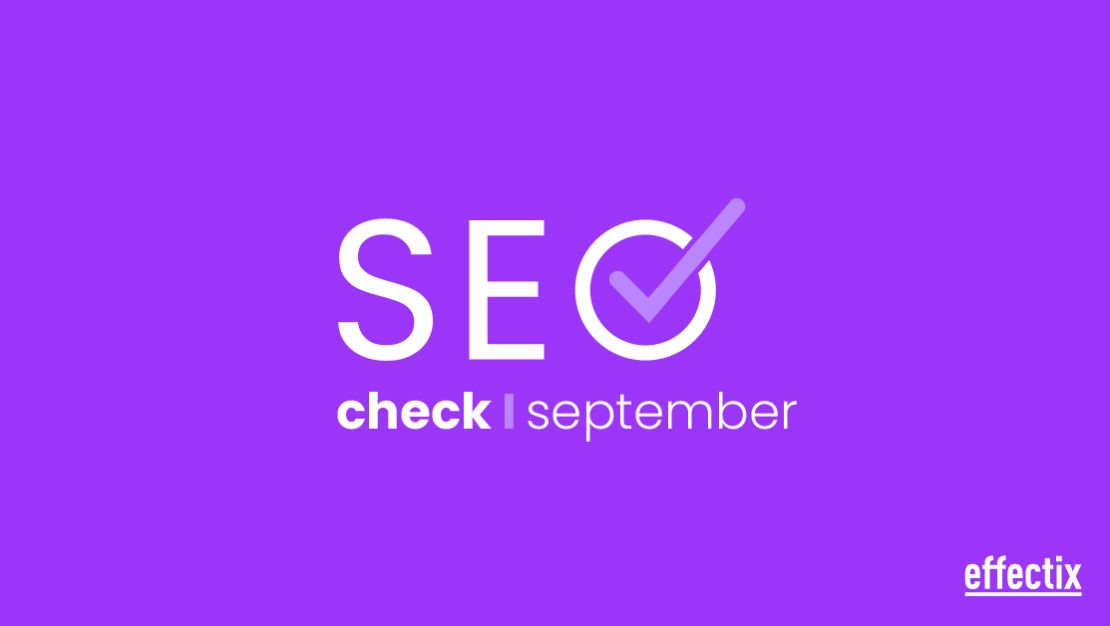 seo-check-banner-09